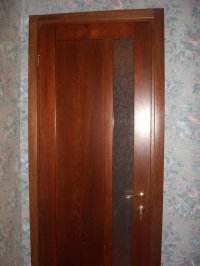 #896  Дверь модель sl038