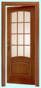 #877  Дверь модель sl019
